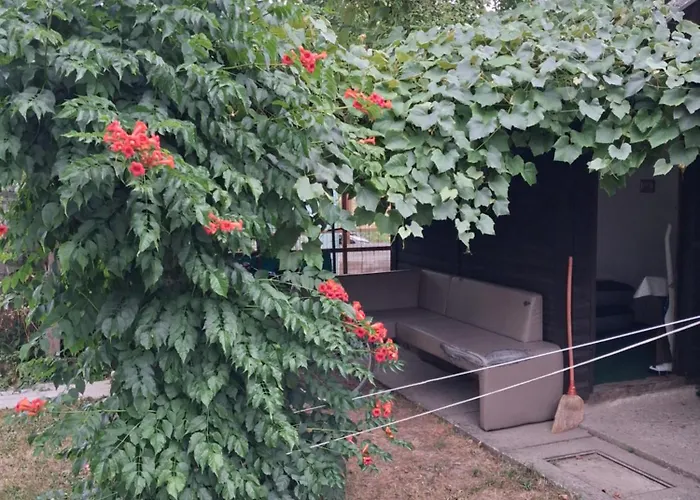 Land For Your Tent Next To A River With A Garden Shack Get Two Bicycles For Amazing Views And Two Water Floats For A River Run Use The Location Not The Address To Get Here Bathroom Is A Bit Different So Check Youtube Video Riverrundusko Ljubljana