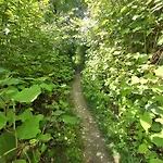 Land For Your Tent Next To A River With A Garden Shack Get Two Bicycles And Two Water Floats Use The Pinpoint Location Not The Address To Get Here Bathroom Is A Bit Different So Check Youtube Video Riverrundusko Open Showers In A Nearby Camp Kamp Ljubljana