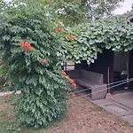 Land For Your Tent Next To A River With A Garden Shack Get Two Bicycles And Two Water Floats Use The Pinpoint Location Not The Address To Get Here Bathroom Is A Bit Different So Check Youtube Video Riverrundusko Open Showers In A Nearby Camp Lubiana