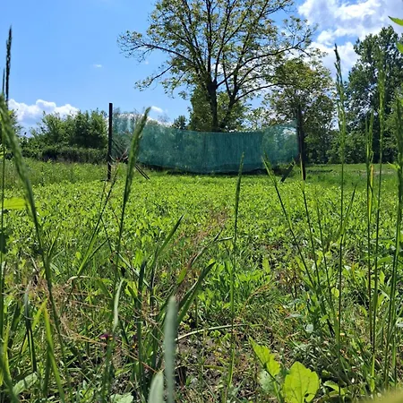 Land For Your Tent Next To A River With A Garden Shack Get Two Bicycles For Amazing Views And Two Water Floats For A River Run Use The Location Not The Address To Get Here Bathroom Is A Bit Different So Check Youtube Video Riverrundusko 캠프장 류블랴나