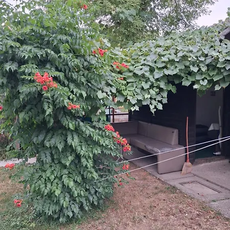 Garden House Room Next To A River With Additional Land For Your Tent You Get Two Bicycles For Amazing Views And Two Water Floats For A Mega River Run Personal Guidance Use The Location Not The Address To Get There Check Youtube Video Riverrundusko Ljubljana