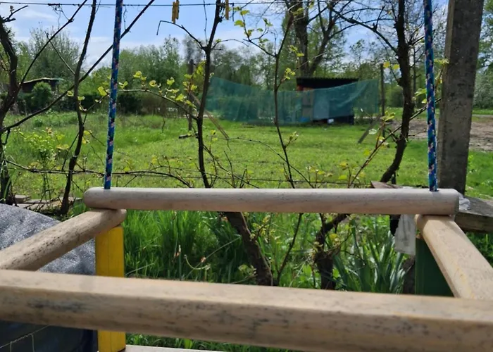 Campeggio Land For Your Tent Next To A River With A Garden Shack Get Two Bicycles For Amazing Views And Two Water Floats For A River Run Use The Location Not The Address To Get Here Bathroom Is A Bit Different So Check Youtube Video Riverrundusko