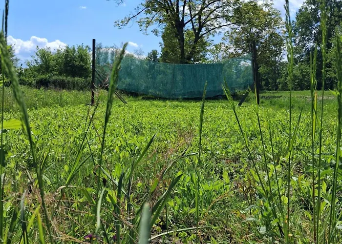 Land For Your Tent Next To A River With A Garden Shack Get Two Bicycles For Amazing Views And Two Water Floats For A River Run Use The Location Not The Address To Get Here Bathroom Is A Bit Different So Check Youtube Video Riverrundusko キャンプ場 リュブリャナ