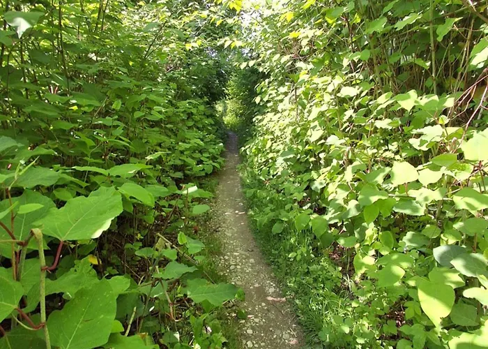 Land For Your Tent Next To A River With A Garden Shack Get Two Bicycles For Amazing Views And Two Water Floats For A River Run Use The Location Not The Address To Get Here Bathroom Is A Bit Different So Check Youtube Video Riverrundusko キャンプ場 リュブリャナ