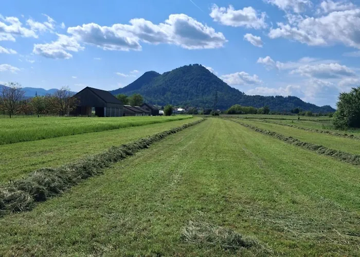 Land For Your Tent Next To A River With A Garden Shack Get Two Bicycles For Amazing Views And Two Water Floats For A River Run Use The Location Not The Address To Get Here Bathroom Is A Bit Different So Check Youtube Video Riverrundusko Campeggio
