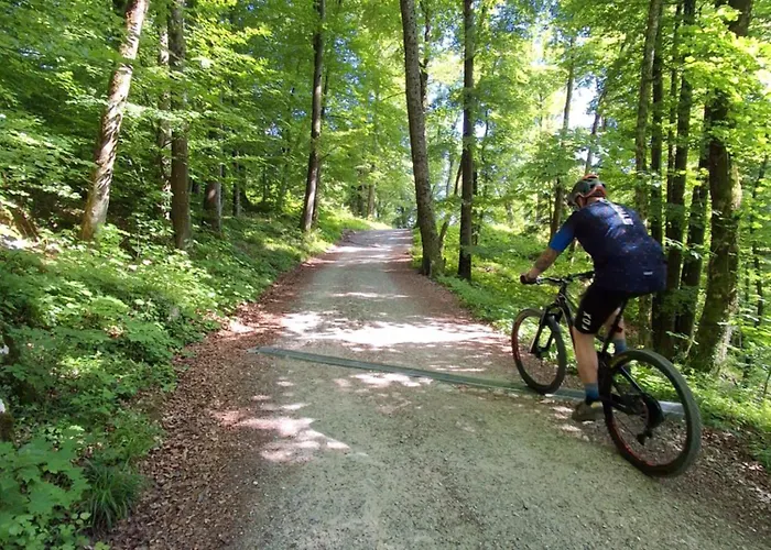 Land For Your Tent Next To A River With A Garden Shack Get Two Bicycles For Amazing Views And Two Water Floats For A River Run Use The Location Not The Address To Get Here Bathroom Is A Bit Different So Check Youtube Video Riverrundusko Campeggio *