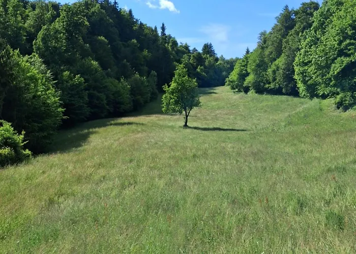 キャンプ場 Land For Your Tent Next To A River With A Garden Shack Get Two Bicycles For Amazing Views And Two Water Floats For A River Run Use The Location Not The Address To Get Here Bathroom Is A Bit Different So Check Youtube Video Riverrundusko リュブリャナ