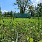 Land For Your Tent Next To A River With A Garden Shack Get Two Bicycles And Two Water Floats Use The Pinpoint Location Not The Address To Get Here Bathroom Is A Bit Different So Check Youtube Video Riverrundusko Open Showers In A Nearby Camp Kamp alanı Ljubljana